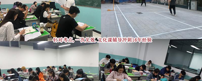 廣西省玉林市藝考文化課語文沖刺哪家好