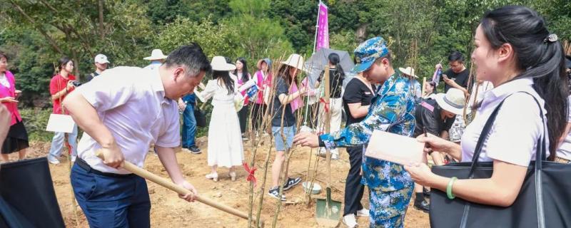 河池羅城縣初3集訓學校排行榜