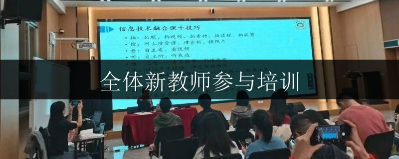 全體新教師參與培訓(xùn)