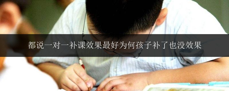 都說一對一補課效果最好為何孩子補了也沒效果