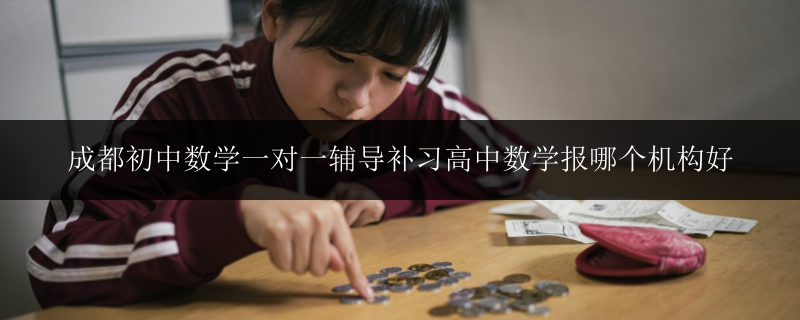 成都初中數(shù)學(xué)一對一輔導(dǎo)補(bǔ)習(xí)高中數(shù)學(xué)報(bào)哪個(gè)機(jī)構(gòu)好